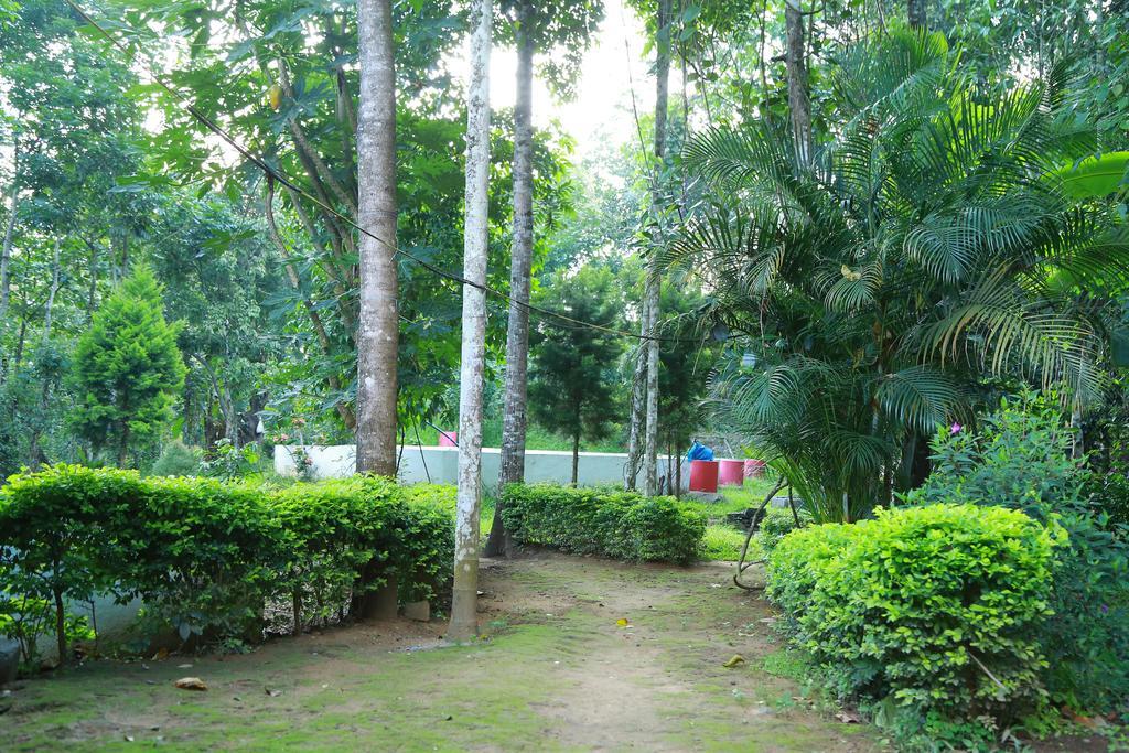 Philip Mary Farm Stay テッカディ エクステリア 写真